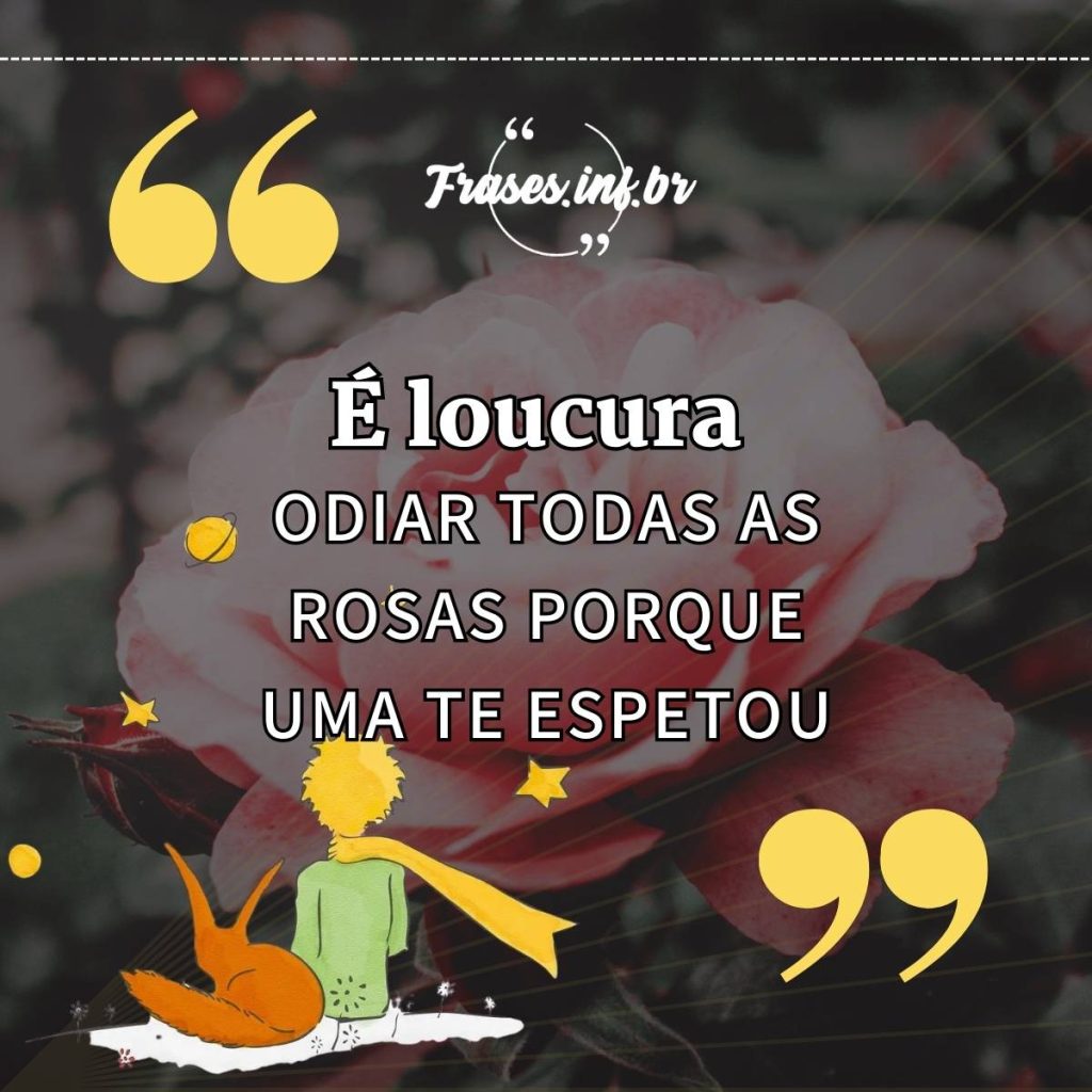 Frases Mais Bonitas Do Livro Pequeno Príncipe Para Compartilhar